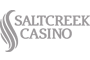 Saltcreek Casino